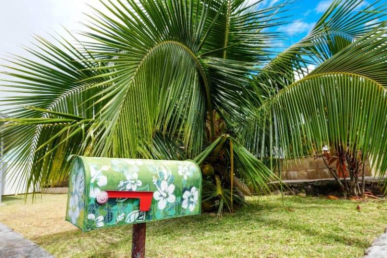 How To Maintain A US Address While Living Abroad