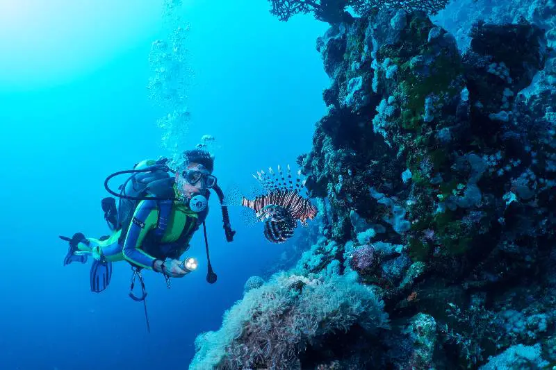 Best Places To Go Scuba Diving In Thailand