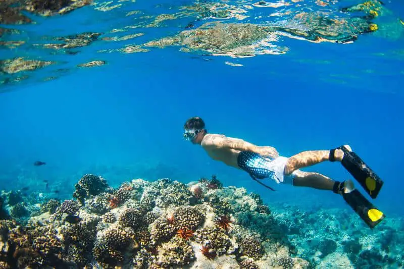Best Snorkeling Spots in Thailand