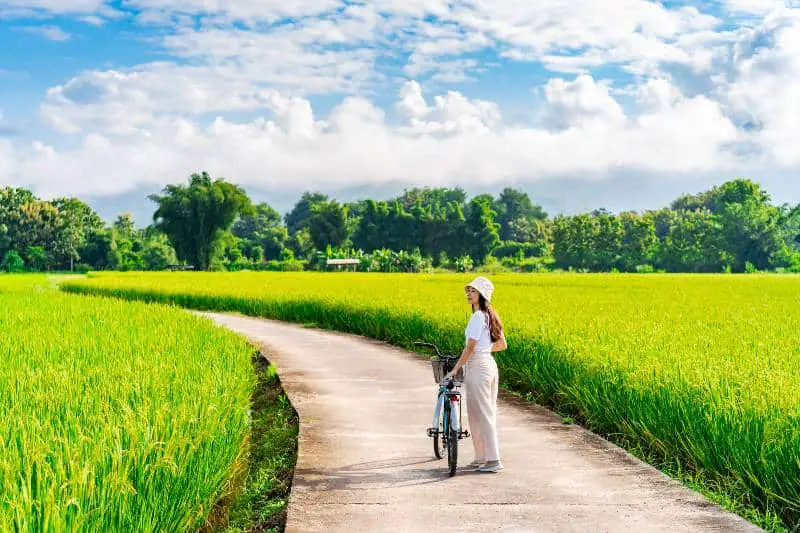 Renting Bicycles and Cycling in Thailand