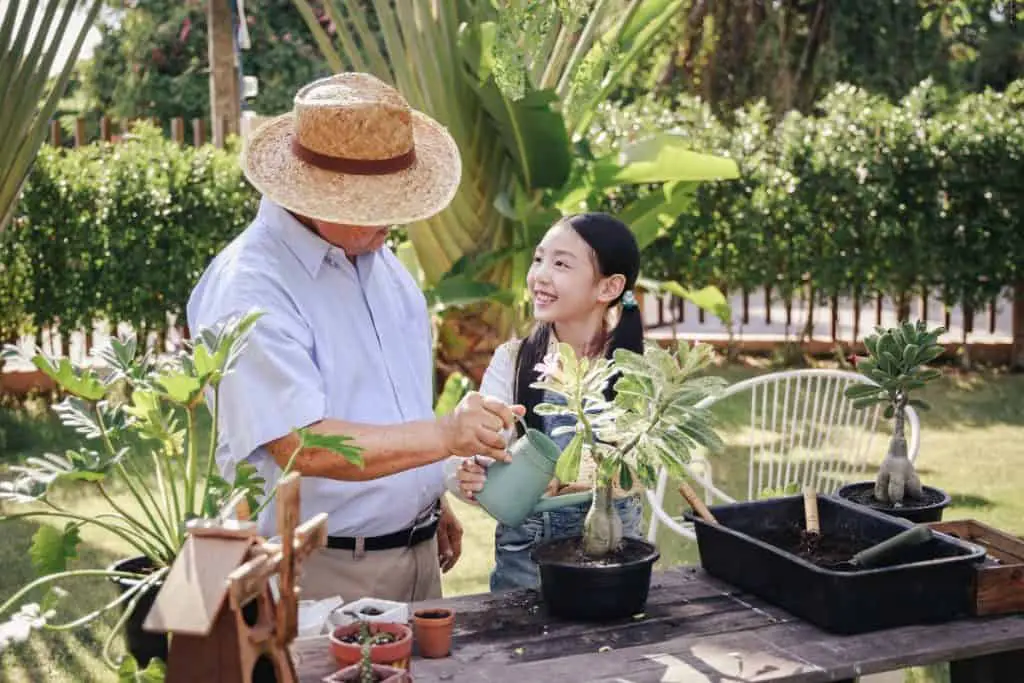 Eco-Friendly Retirement Living in Thailand