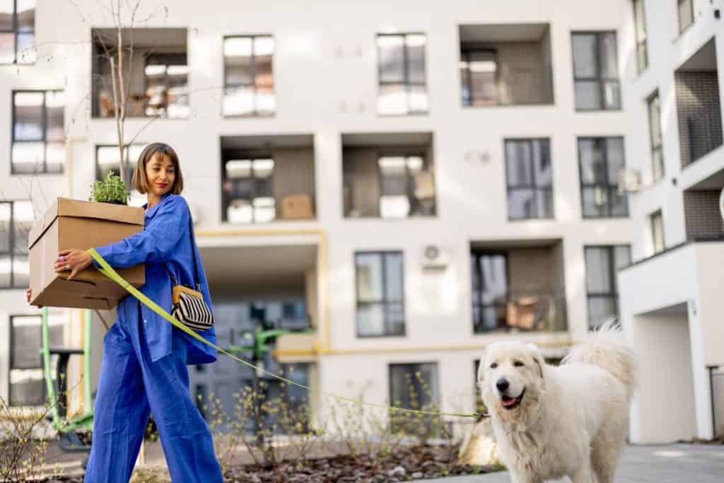 Best Pet-Friendly Housing Thailand