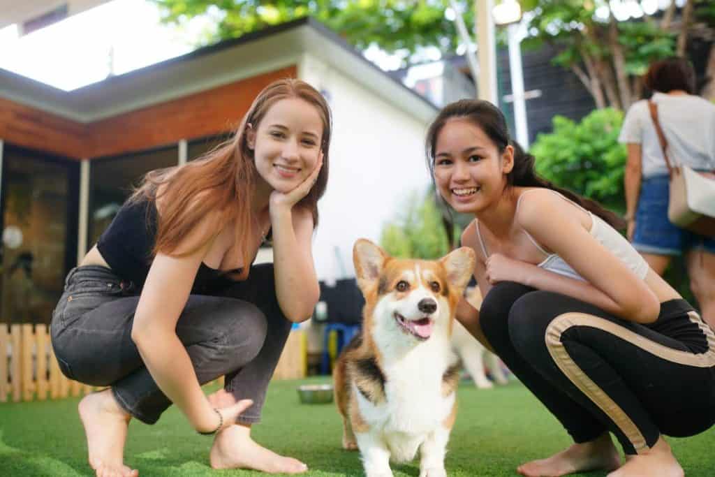 Best Pet-Friendly Housing Thailand