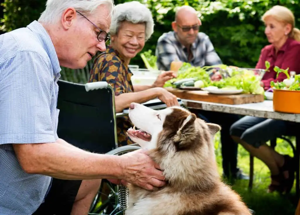 The Ultimate Guide to Retiring in Thailand