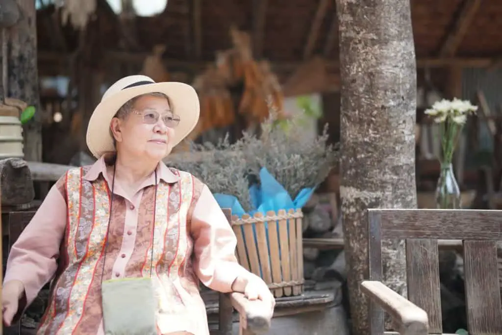 Understanding and Respecting Thai Elderly Customs